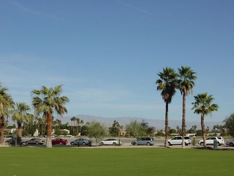 Palm Springs03.jpg